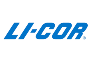 Licor