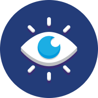 Vision